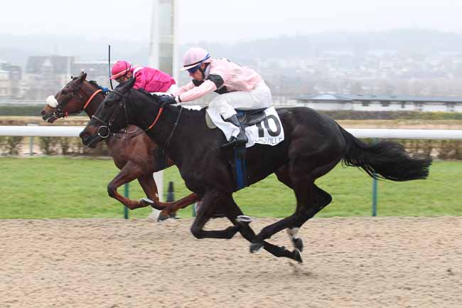 Photo d'arrivée de la course pmu PRIX DE DOUVILLE à DEAUVILLE le Mercredi 1 mars 2017