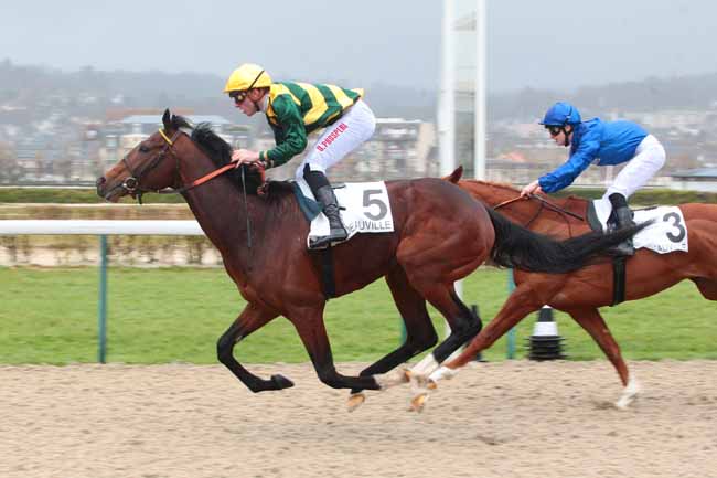 Photo d'arrivée de la course pmu PRIX DU PERCHE à DEAUVILLE le Mercredi 1 mars 2017