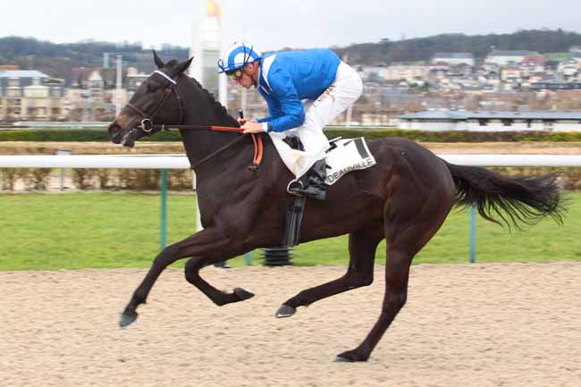 Photo d'arrivée de la course pmu PRIX DU VAL DE REUIL à DEAUVILLE le Mercredi 1 mars 2017