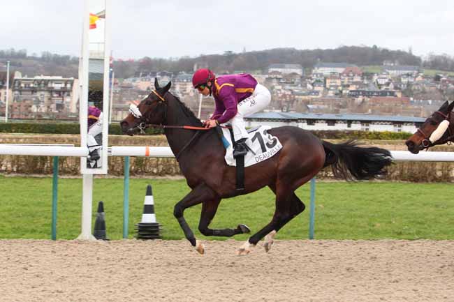 Photo d'arrivée de la course pmu PRIX DU CAP GRIS NEZ à DEAUVILLE le Mercredi 1 mars 2017