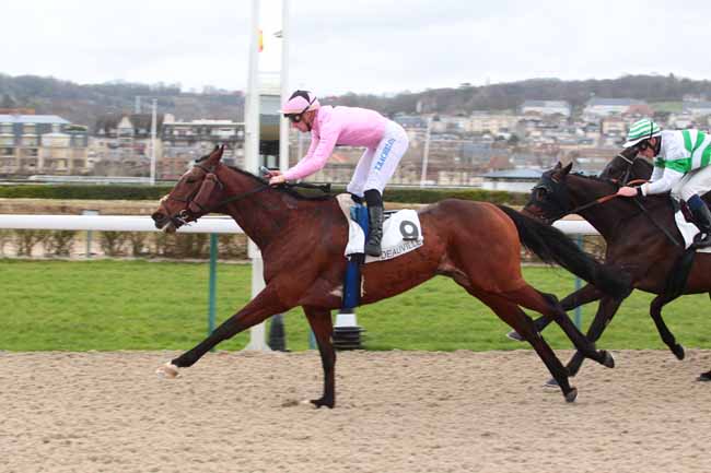 Photo d'arrivée de la course pmu PRIX DU CAP DE LA HEVE à DEAUVILLE le Mercredi 1 mars 2017