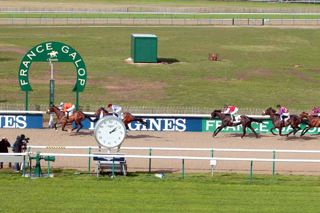 Photo d'arrivée de la course pmu PRIX DARSHAAN à CHANTILLY le Jeudi 2 mars 2017