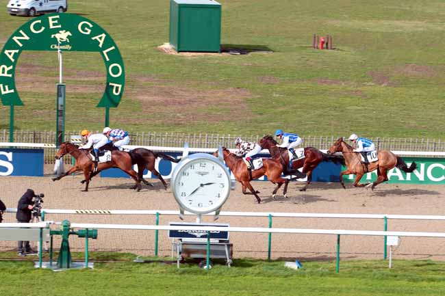 Photo d'arrivée de la course pmu PRIX DE LA HAUTE TAILLE à CHANTILLY le Jeudi 2 mars 2017