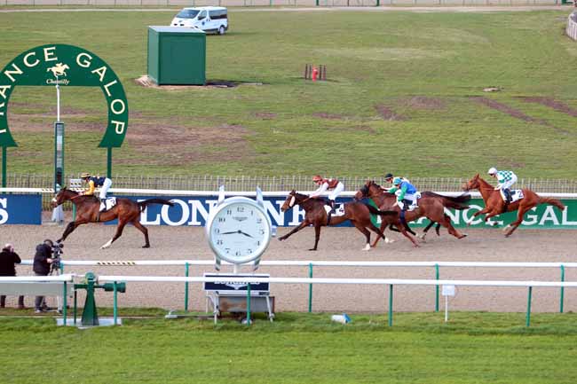 Photo d'arrivée de la course pmu PRIX DU TERRAIN DE MANOEUVRE à CHANTILLY le Jeudi 2 mars 2017