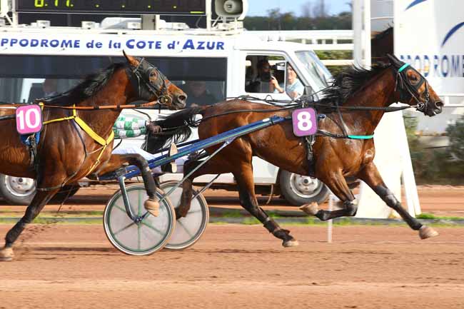 Photo d'arrivée de la course pmu PRIX DE SALERNES à CAGNES-SUR-MER le Vendredi 3 mars 2017