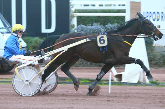 Photo d'arrivée de la course pmu PRIX DE KIRUNA à CAGNES-SUR-MER le Vendredi 3 mars 2017