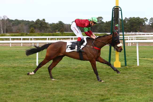 Photo d'arrivée de la course pmu PRIX JACQUES GELIOT à FONTAINEBLEAU le Vendredi 3 mars 2017