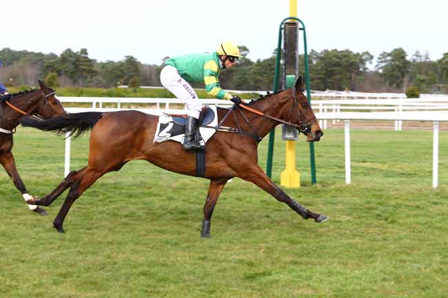 Photo d'arrivée de la course pmu PRIX DES DAGUETS à FONTAINEBLEAU le Vendredi 3 mars 2017
