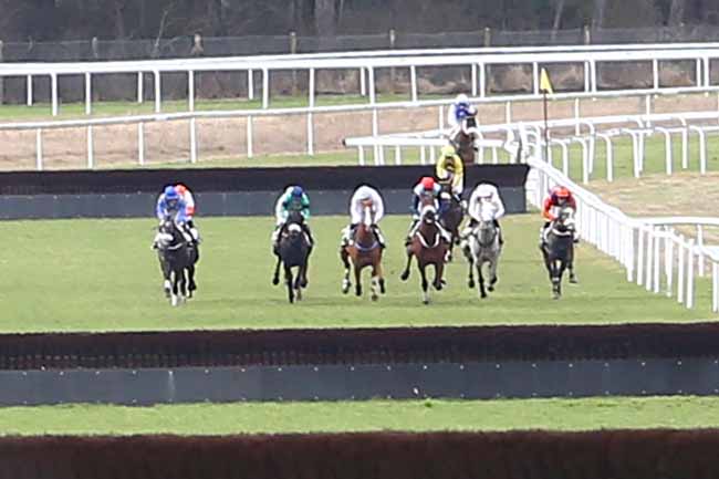 Photo d'arrivée de la course pmu PRIX DES HERONNIERES à FONTAINEBLEAU le Vendredi 3 mars 2017