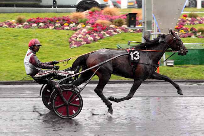 Photo d'arrivée de la course pmu PRIX DE PLESTIN-LES-GREVES à PARIS-VINCENNES le Samedi 4 mars 2017