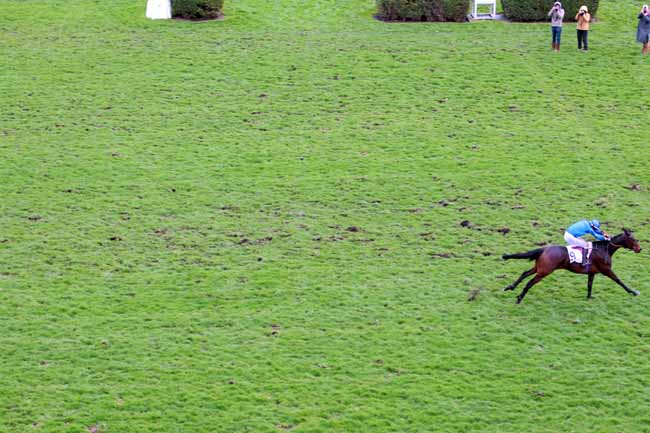 Photo d'arrivée de la course pmu PRIX BEUGNOT à AUTEUIL le Dimanche 5 mars 2017