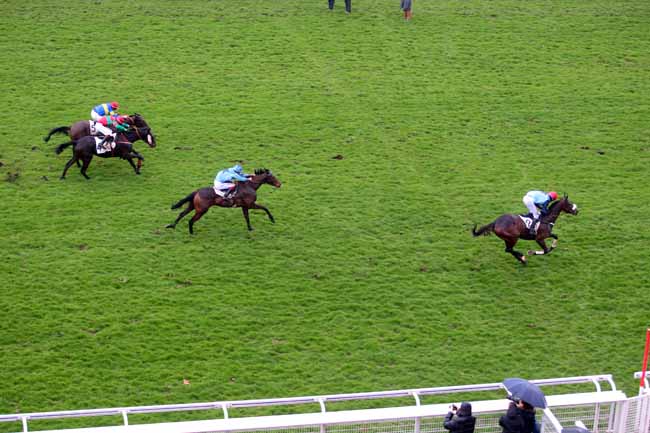 Photo d'arrivée de la course pmu PRIX JEAN DOUMEN à AUTEUIL le Dimanche 5 mars 2017