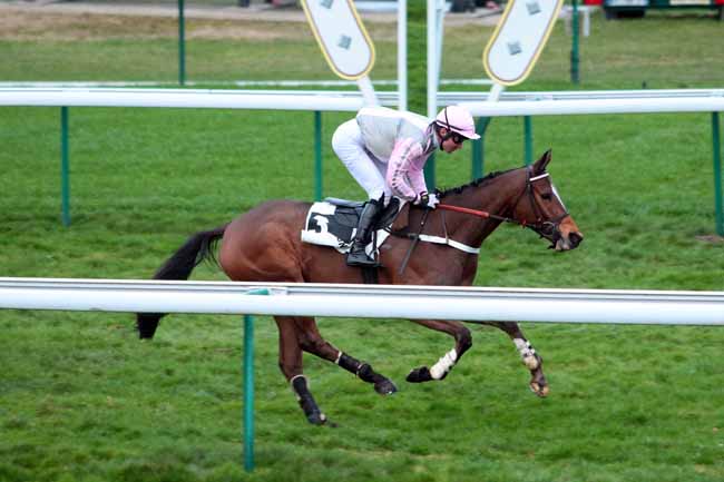 Photo d'arrivée de la course pmu PRIX BAROUD III à COMPIEGNE le Lundi 6 mars 2017