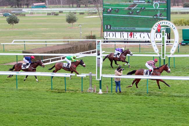 Photo d'arrivée de la course pmu PRIX D'ESSAI DES POULAINS à COMPIEGNE le Lundi 6 mars 2017