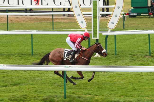 Photo d'arrivée de la course pmu PRIX STRADA à COMPIEGNE le Lundi 6 mars 2017