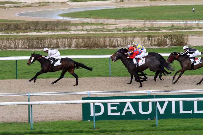 Photo d'arrivée de la course pmu PRIX DE LA COUR BLANCHE à DEAUVILLE le Mardi 7 mars 2017