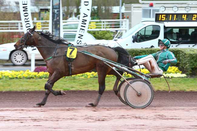 Photo d'arrivée de la course pmu GRAND NATIONAL DU TROT PARIS-TURF à AMIENS le Mercredi 8 mars 2017
