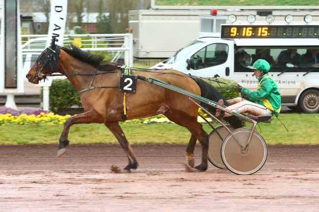Photo d'arrivée de la course pmu GRAND PRIX DE LA VILLE D'AMIENS à AMIENS le Mercredi 8 mars 2017