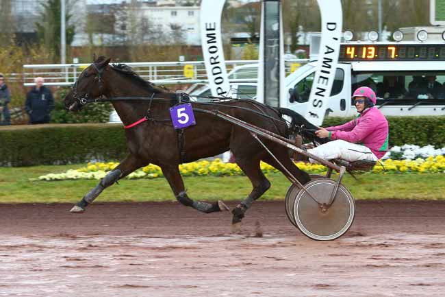 Photo d'arrivée de la course pmu PRIX DU CAFE DU CENTRE - FLIXECOURT à AMIENS le Mercredi 8 mars 2017