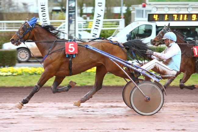 Photo d'arrivée de la course pmu PRIX FICTAC (GR A) à AMIENS le Mercredi 8 mars 2017