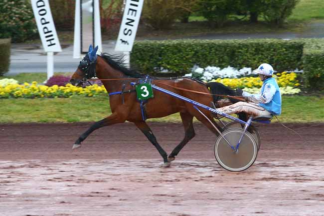 Photo d'arrivée de la course pmu PRIX MARATHON MAN à AMIENS le Mercredi 8 mars 2017