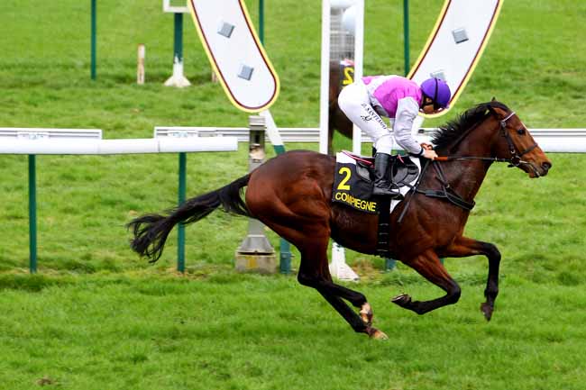 Photo d'arrivée de la course pmu PRIX DE COURTIEUX à COMPIEGNE le Mercredi 8 mars 2017