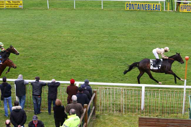 Photo d'arrivée de la course pmu PRIX DE LA SEINE ET MARNE à FONTAINEBLEAU le Jeudi 9 mars 2017