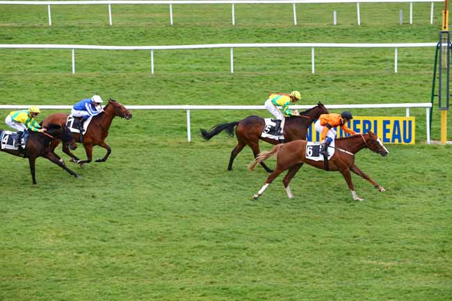 Photo d'arrivée de la course pmu PRIX MAURICE CAILLAULT à FONTAINEBLEAU le Jeudi 9 mars 2017