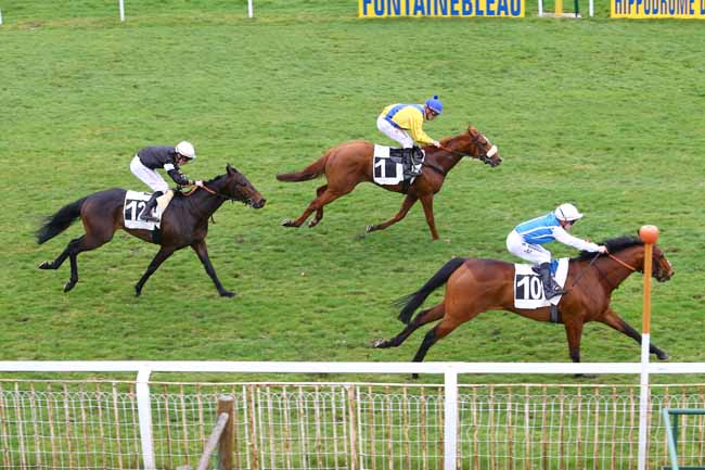 Photo d'arrivée de la course pmu PRIX DU HARAS DE MONTGERMONT à FONTAINEBLEAU le Jeudi 9 mars 2017