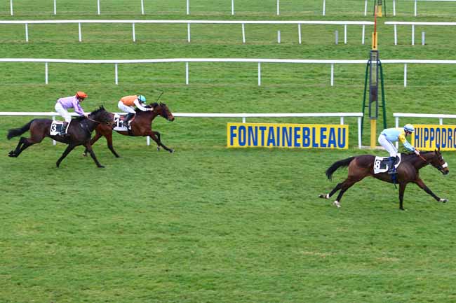 Photo d'arrivée de la course pmu PRIX DU CLUB DES GENTLEMEN-RIDERS ET DES CAVALIERES à FONTAINEBLEAU le Jeudi 9 mars 2017