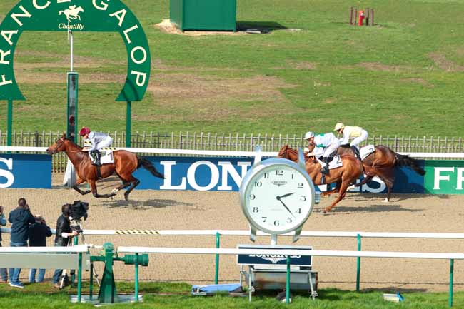 Photo d'arrivée de la course pmu PRIX DU MONT GRIFFON à CHANTILLY le Vendredi 10 mars 2017