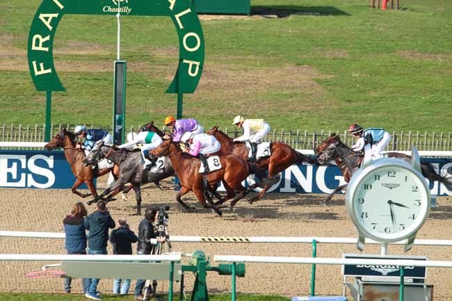 Photo d'arrivée de la course pmu PRIX DE L'ETANG CHAPON à CHANTILLY le Vendredi 10 mars 2017