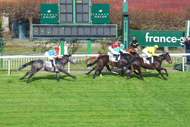 Photo d'arrivée de la course pmu PRIX ALTIPAN à SAINT-CLOUD le Samedi 11 mars 2017