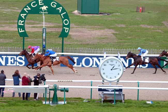 Photo d'arrivée de la course pmu PRIX TALWEG à CHANTILLY le Mardi 14 mars 2017