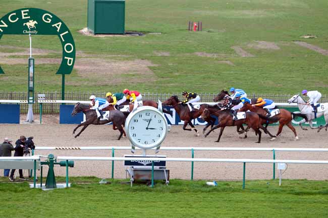 Photo d'arrivée de la course pmu PRIX MOLTON à CHANTILLY le Mardi 14 mars 2017