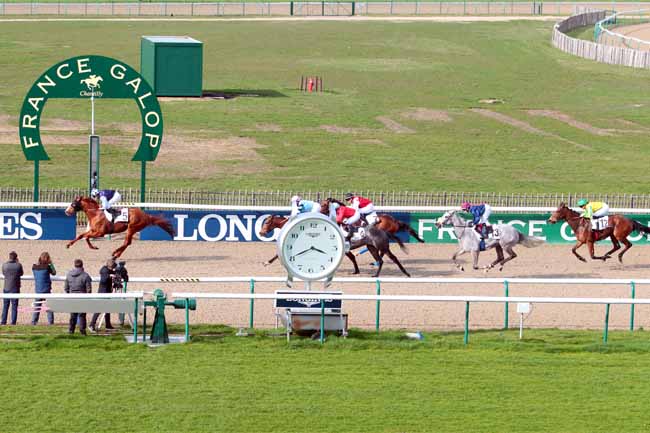 Photo d'arrivée de la course pmu PRIX DU HARAS AU BOIS à CHANTILLY le Mardi 14 mars 2017