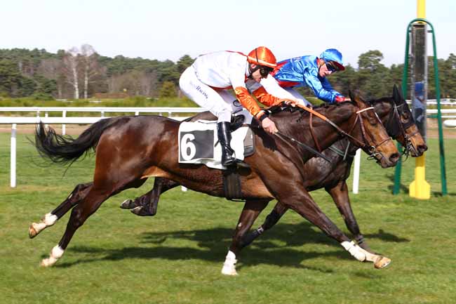 Photo d'arrivée de la course pmu PRIX DE SERMAISE à FONTAINEBLEAU le Mardi 14 mars 2017