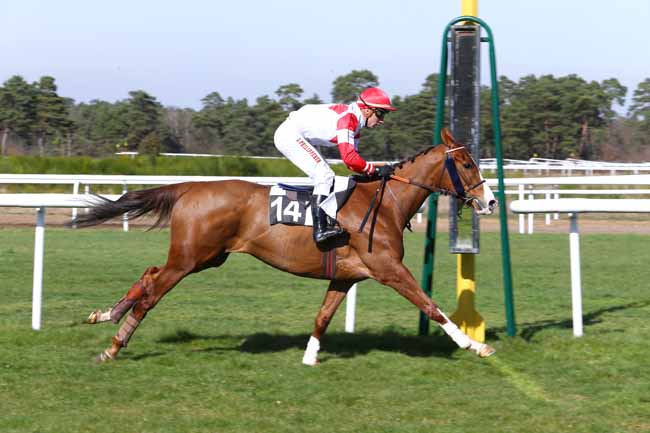Photo d'arrivée de la course pmu PRIX DU CONSEIL MUNICIPAL DE DAMMARIE-LES-LYS à FONTAINEBLEAU le Mardi 14 mars 2017