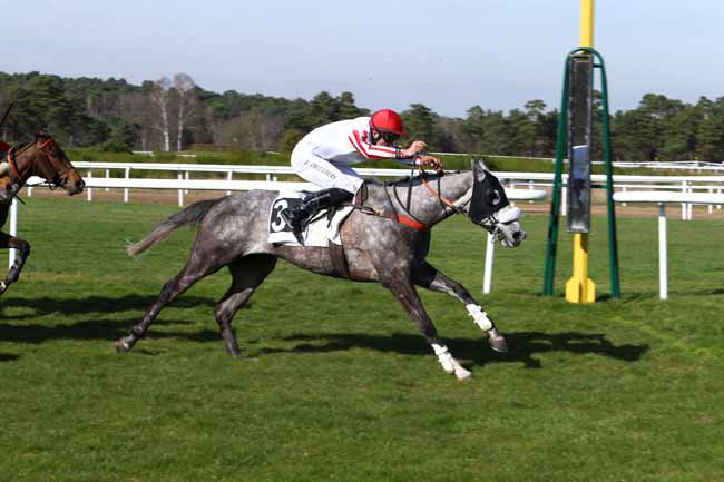 Photo d'arrivée de la course pmu PRIX DE MONTIGNY-SUR-LOING à FONTAINEBLEAU le Mardi 14 mars 2017