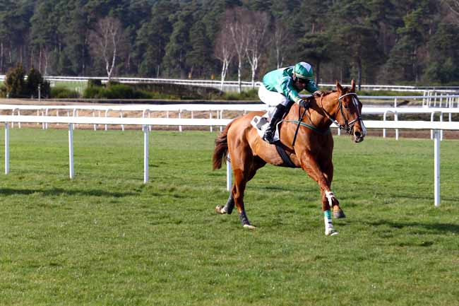 Photo d'arrivée de la course pmu PRIX DE NEMOURS à FONTAINEBLEAU le Mardi 14 mars 2017