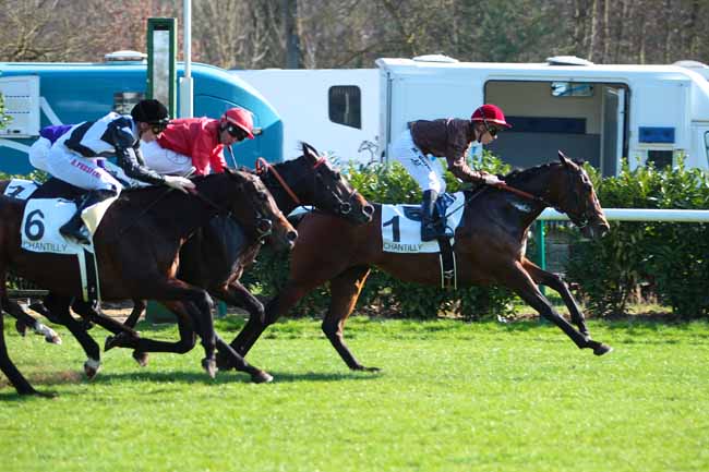 Photo d'arrivée de la course pmu PRIX RONDE DE NUIT à CHANTILLY le Jeudi 16 mars 2017