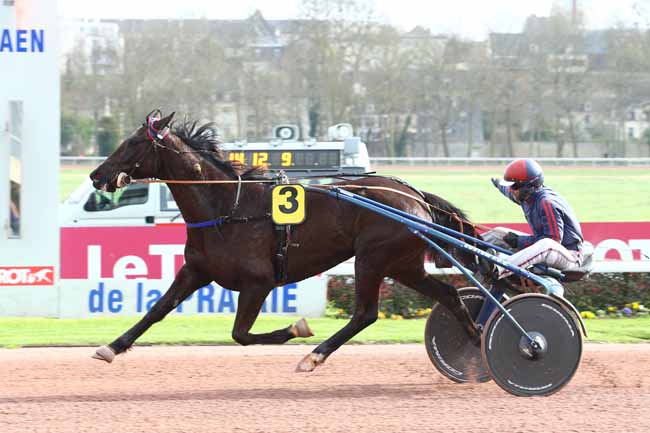 Photo d'arrivée de la course pmu PRIX DE CANAPVILLE à CAEN le Vendredi 17 mars 2017