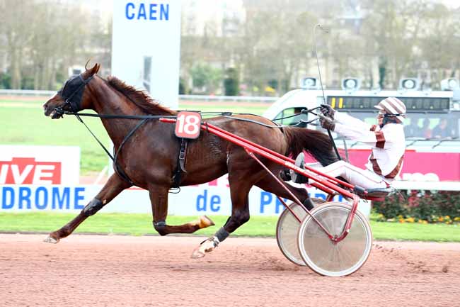 Photo d'arrivée de la course pmu PRIX DE BERVILLE à CAEN le Vendredi 17 mars 2017
