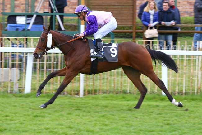 Photo d'arrivée de la course pmu PRIX DU MONT PIERREUX à FONTAINEBLEAU le Vendredi 17 mars 2017
