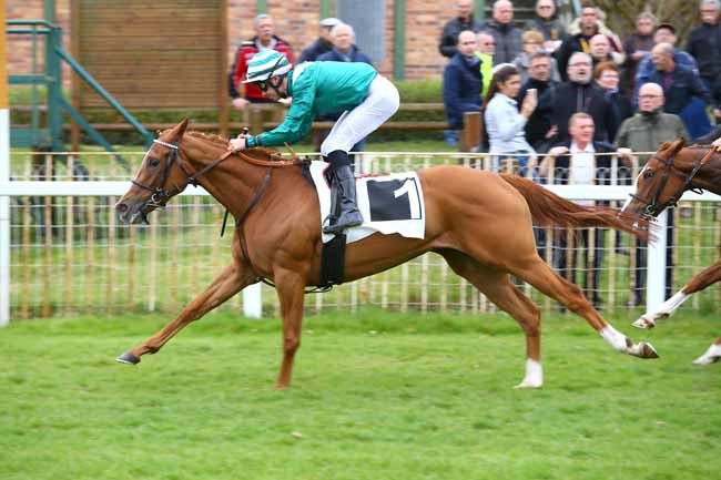Photo d'arrivée de la course pmu PRIX DES MELEZES à FONTAINEBLEAU le Vendredi 17 mars 2017