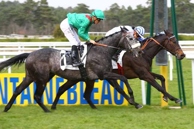 Photo d'arrivée de la course pmu PRIX DE SAMOREAU à FONTAINEBLEAU le Vendredi 17 mars 2017