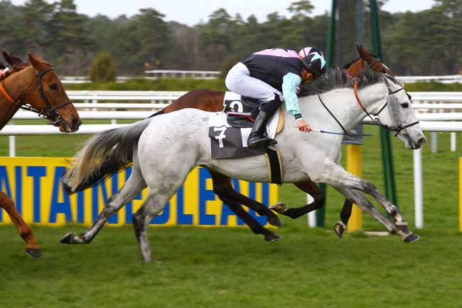 Photo d'arrivée de la course pmu PRIX DU BOIS DE LA COMMANDERIE à FONTAINEBLEAU le Vendredi 17 mars 2017