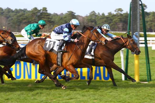Photo d'arrivée de la course pmu PRIX DES BARNOLETS à FONTAINEBLEAU le Vendredi 17 mars 2017
