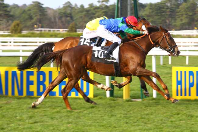 Photo d'arrivée de la course pmu PRIX DES HAUTEURS DE LA SOLLE à FONTAINEBLEAU le Vendredi 17 mars 2017