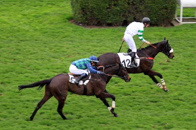 Photo d'arrivée de la course pmu PRIX TROYTOWN à AUTEUIL le Samedi 18 mars 2017